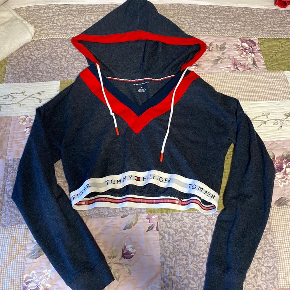 Tommy Hilfiger Retro Cropped Hoodie